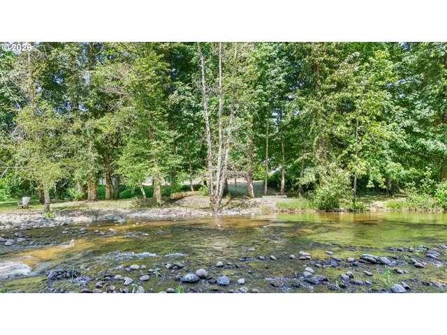 a view of a yard with plants and large trees