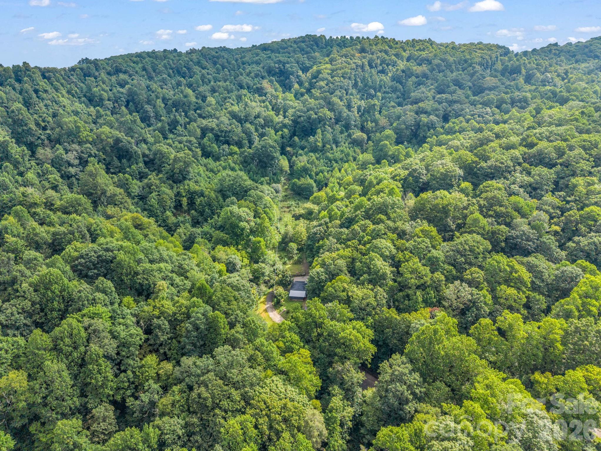 60 Owenby Cove Road Fairview, NC 28730 - Photo 37 of 38 Gallery Image 37