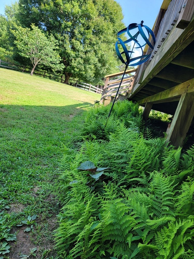 3569 Powerhouse Road Independence, VA 24348 - Photo 63 of 108 Gallery Image 63