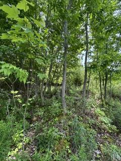 13 B Richardson Road Orrington, ME 04474 - Photo 7 of 10 IMG_0798