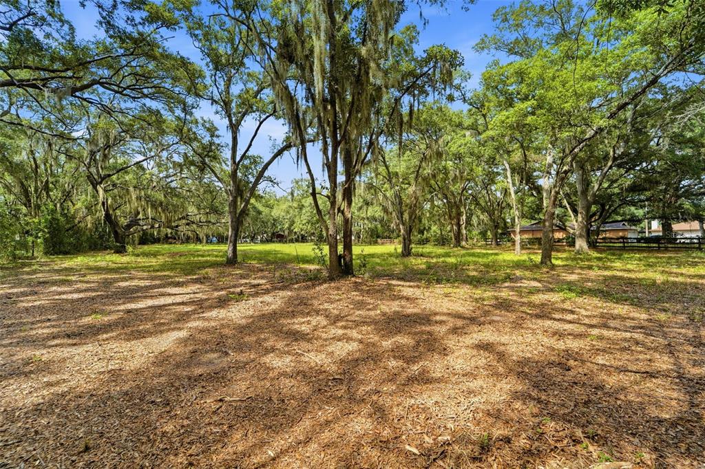 1918 Sydney Road Valrico, FL 33594 - Photo 27 of 35