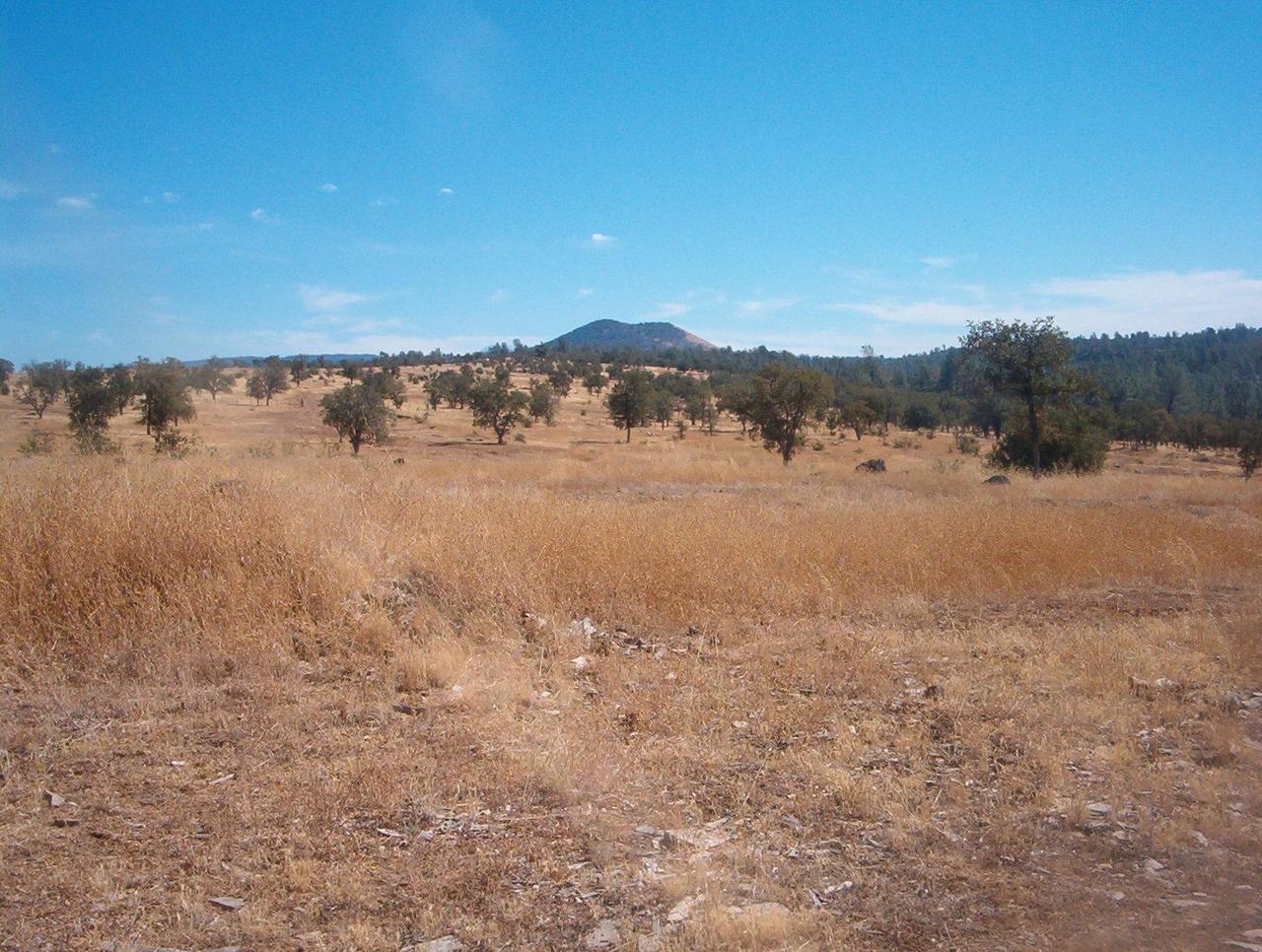 Lot #32 Wildcat Road Shingletown, CA 96088 - Photo 1 of 3 Panoramic Mountain Views