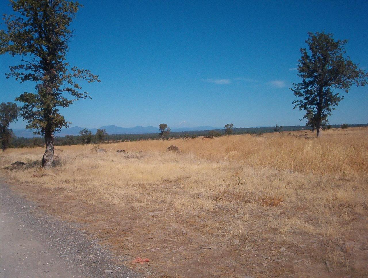 Lot #32 Wildcat Road Shingletown, CA 96088 - Photo 2 of 3 Wildcat