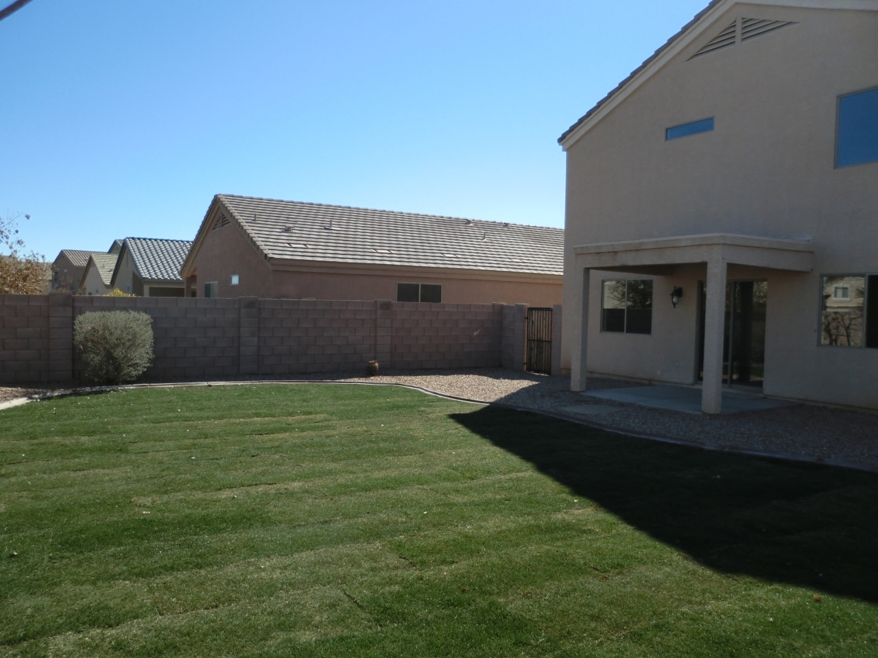 2514 West Tanner Ranch Road San Tan Valley, AZ 85144 - Photo 17 of 20 All new sod