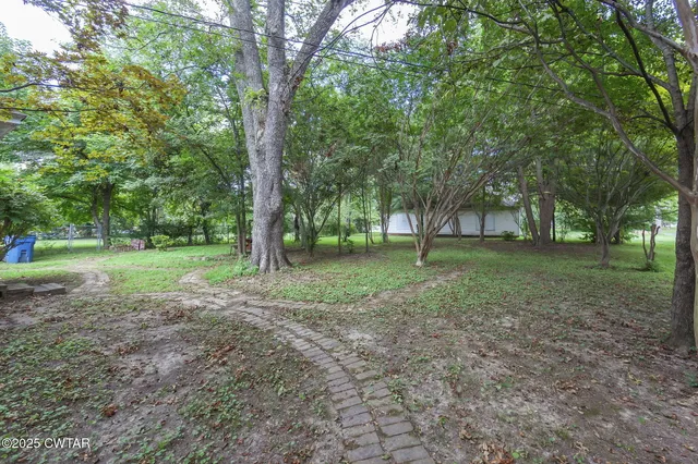a view of outdoor space with trees all around