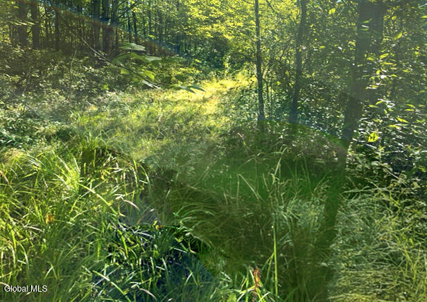 5-IMG_4607 - 24-09-2025 12-30-27