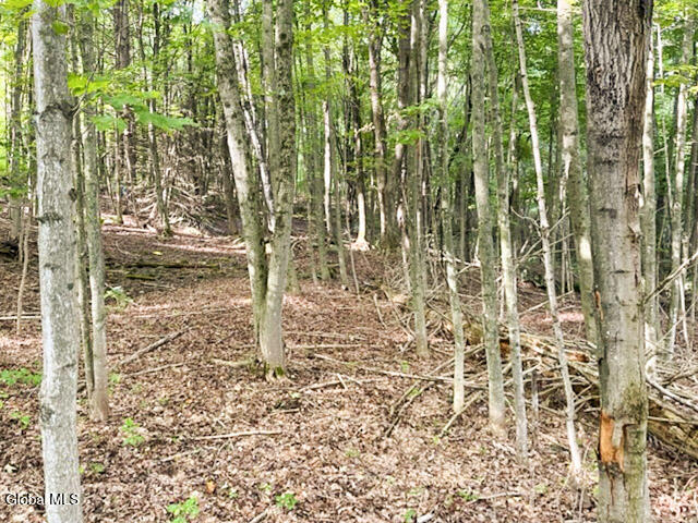 L12.3 Humphrey Road Fultonville, NY 12072 - Photo 2 of 9 1-IMG_4618