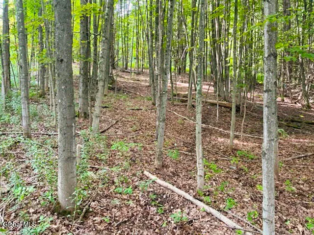 $150,000 | L12.3 Humphrey Road, Fultonville, NY 12072