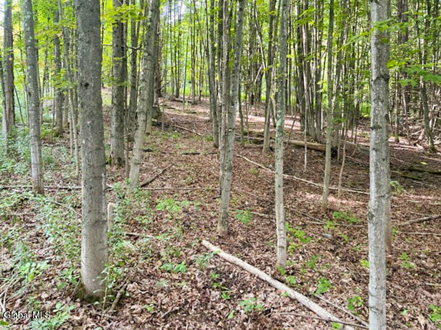 L12.3 Humphrey Road Fultonville, NY 12072 - Photo 3 of 9 2-IMG_4617