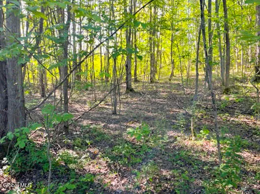 $150,000 | L12.3 Humphrey Road, Fultonville, NY 12072