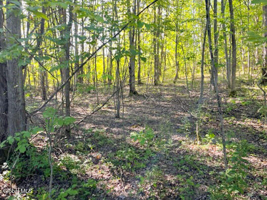 L12.3 Humphrey Road Fultonville, NY 12072 - Photo 4 of 9 3-IMG_4609