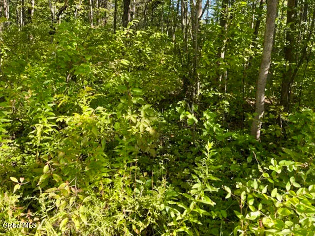 $150,000 | L12.3 Humphrey Road, Fultonville, NY 12072