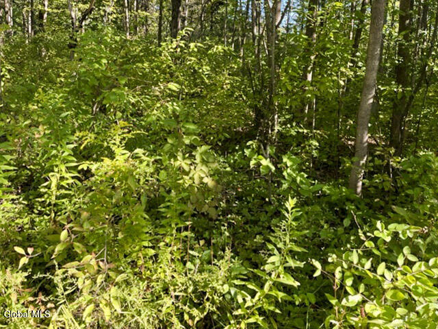 L12.3 Humphrey Road Fultonville, NY 12072 - Photo 5 of 9 4-IMG_4608