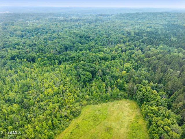 $150,000 | L12.3 Humphrey Road, Fultonville, NY 12072