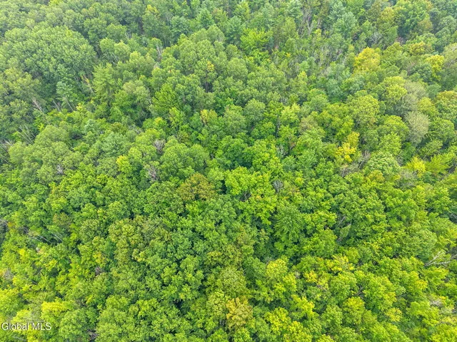 $150,000 | L12.3 Humphrey Road, Fultonville, NY 12072