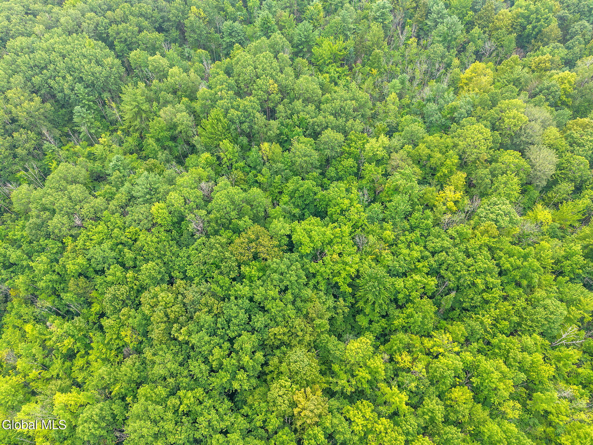 L12.3 Humphrey Road Fultonville, NY 12072 - Photo 7 of 9 19-825HughesRd_19