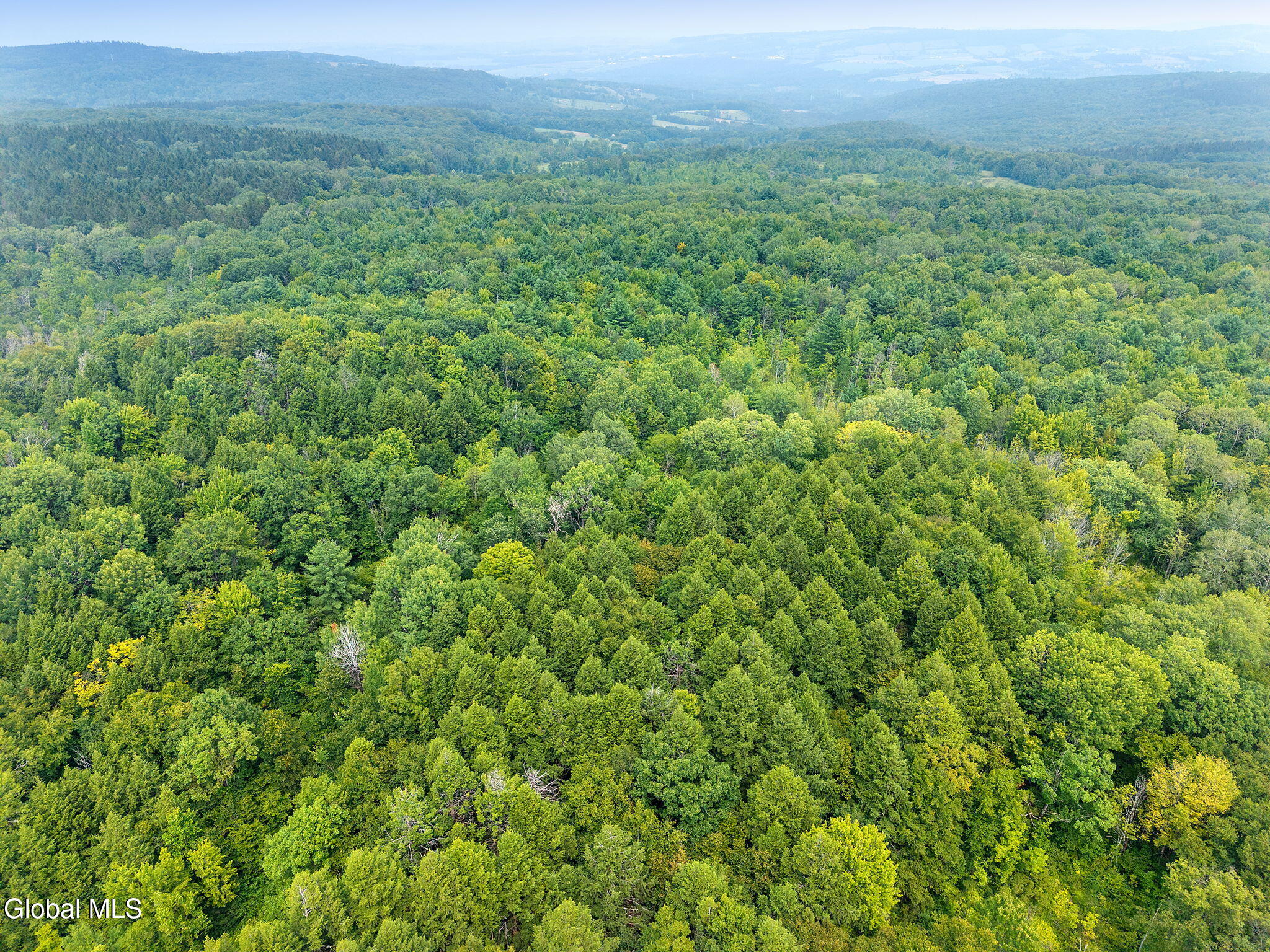 L12.3 Humphrey Road Fultonville, NY 12072 - Photo 8 of 9 24-825HughesRd_24