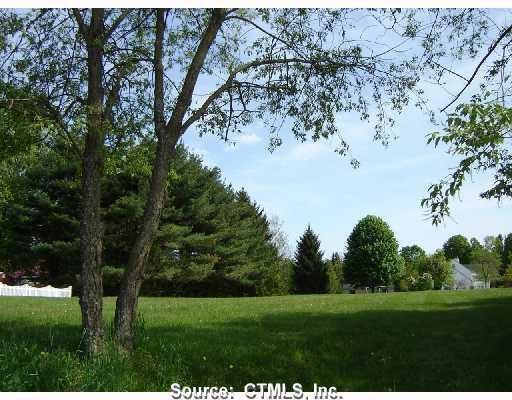 95 Anderson Road North Branford, CT 06472 - Photo 1 of 1 a view of a big yard with large trees