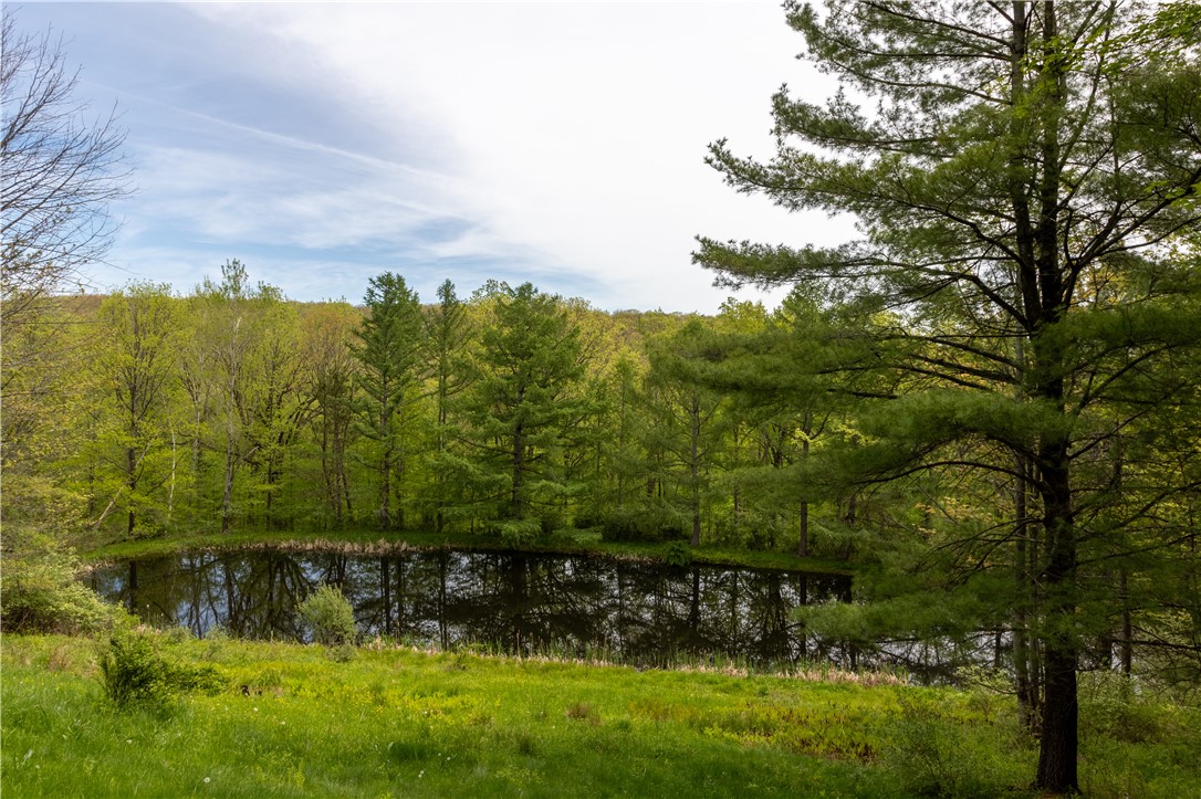 5215 South Hill Road Bristol, NY 14424 - Photo 7 of 39