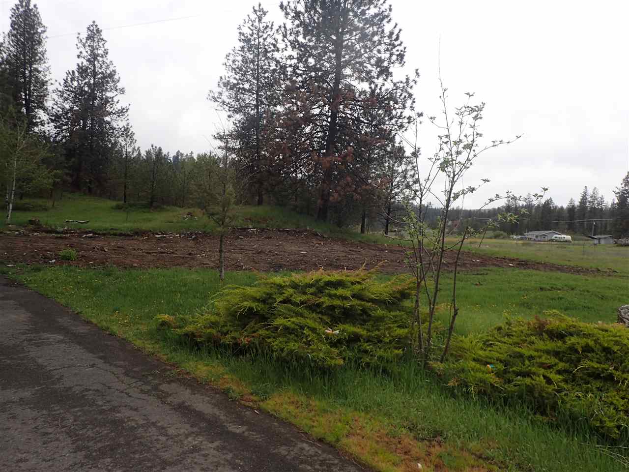 13808 South Spotted Road Cheney, WA 99004 - Photo 14 of 20