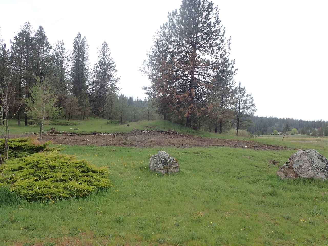 13808 South Spotted Road Cheney, WA 99004 - Photo 5 of 20