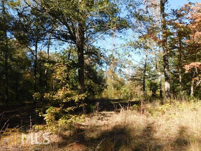 0 Apple Road Meansville, GA 30256 - Photo 1 of 1