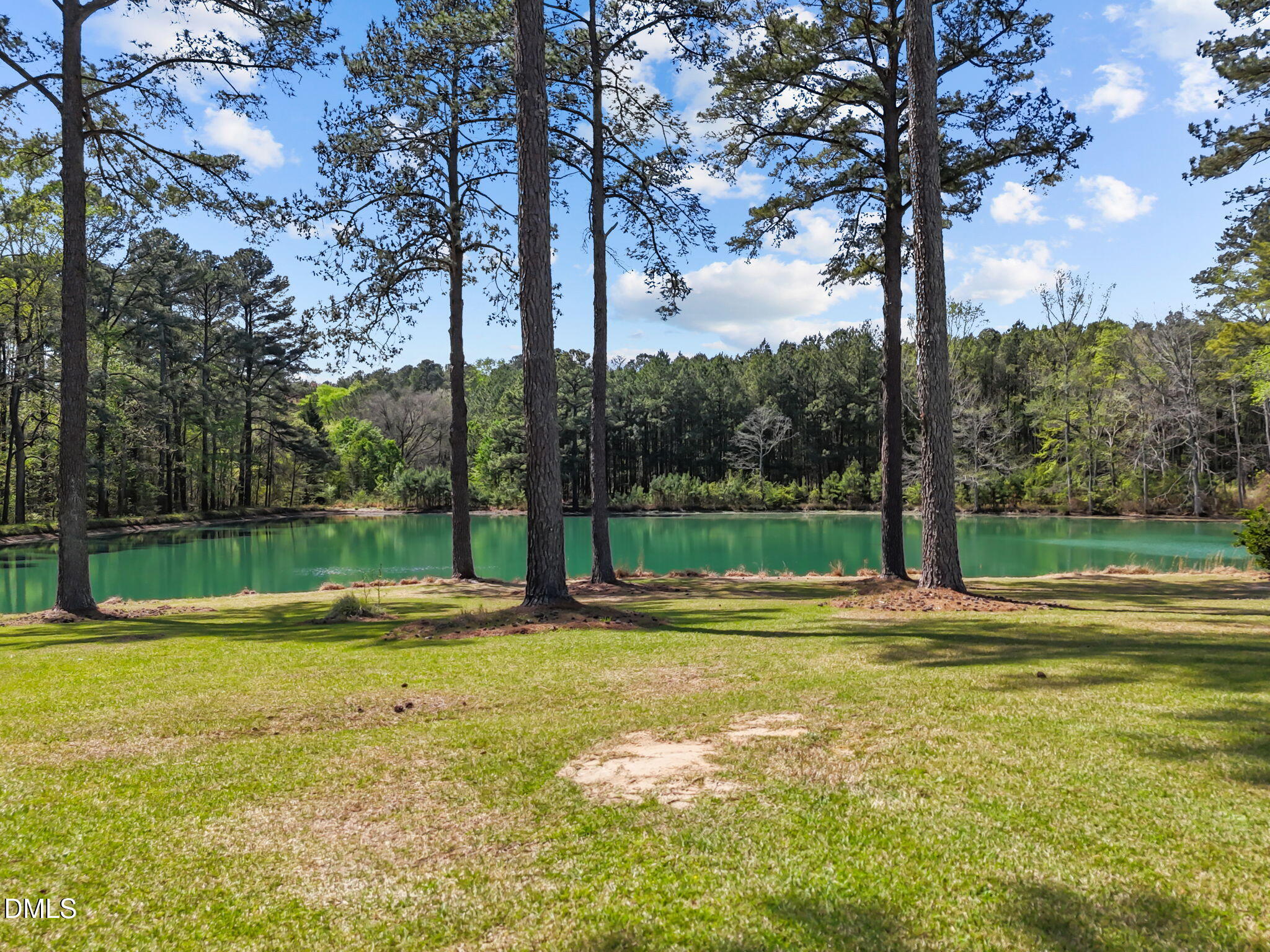 2044 Bethlehem Road Raleigh, NC 27610 - Photo 6 of 44 8-web-or-mls-DJI_20260401142555_0168_D