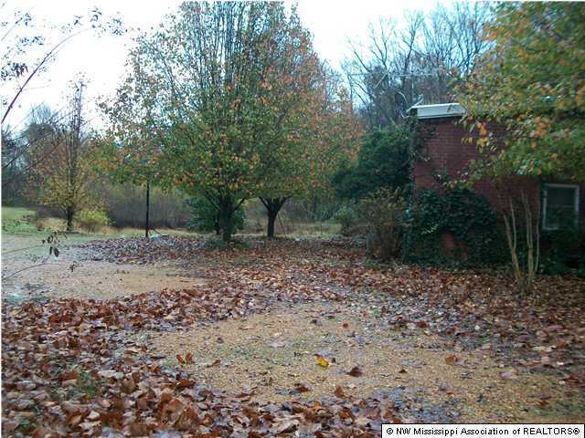 2236 Jaybird Road Hernando, MS 38632 - Photo 1 of 11 Primary Photo