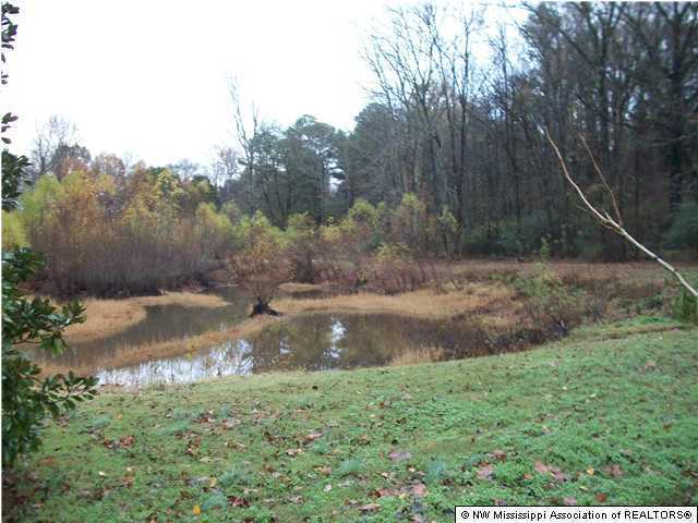 2236 Jaybird Road Hernando, MS 38632 - Photo 4 of 11 Additional Photo