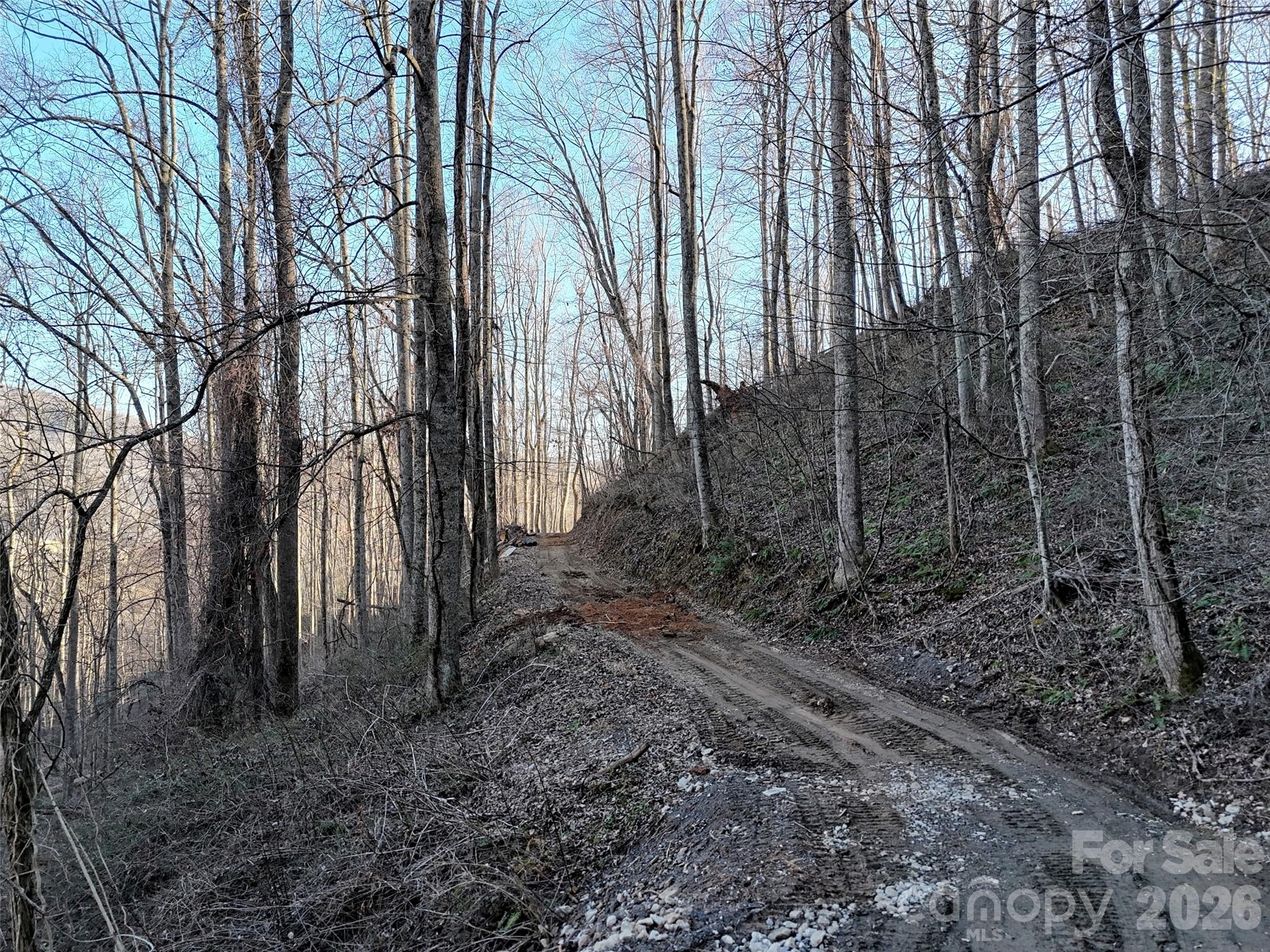672 Porters Ridge Canton, NC 28716 - Photo 10 of 18