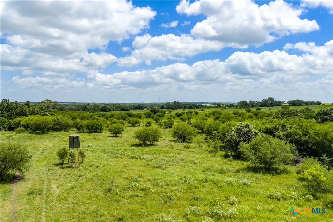 596 Hallemann Road Goliad, TX 77963 - Photo 1 of 1 Gallery Image 1
