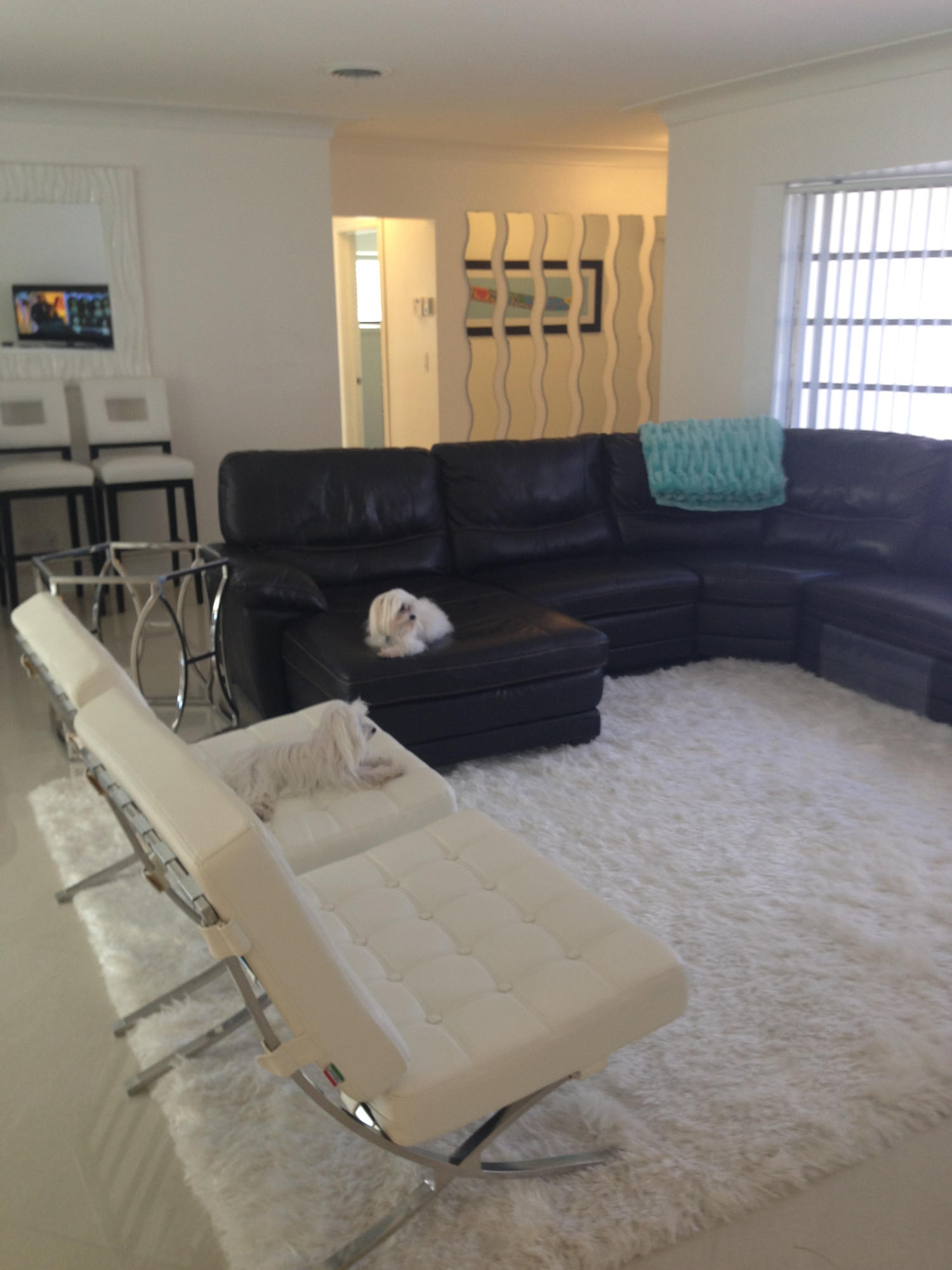 620 Phillips Drive Boca Raton, FL 33432 - Photo 24 of 34 IMG_1694