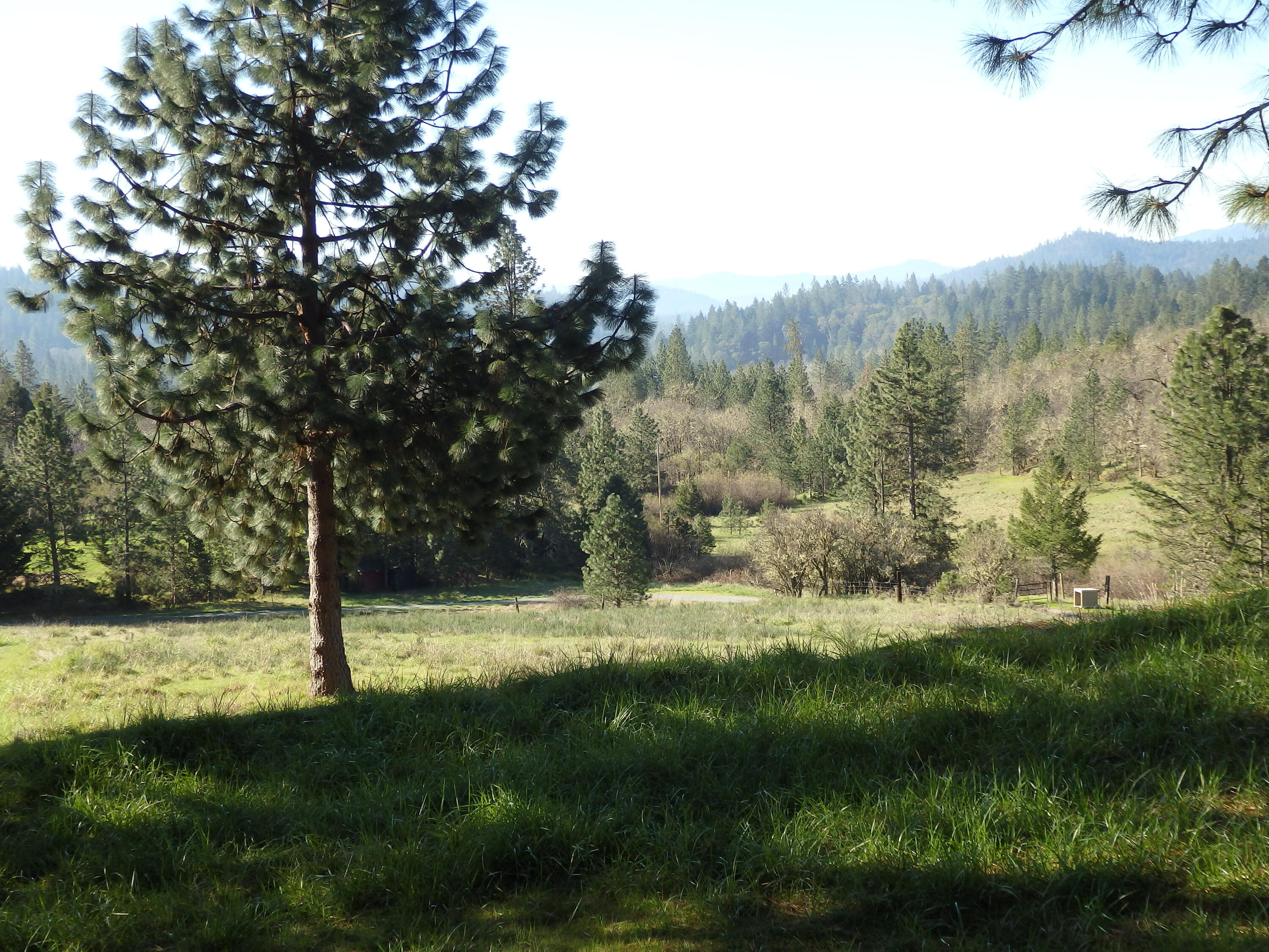 5872 Tunnel Loop Road Grants Pass, OR 97526 - Photo 14 of 16 View 4
