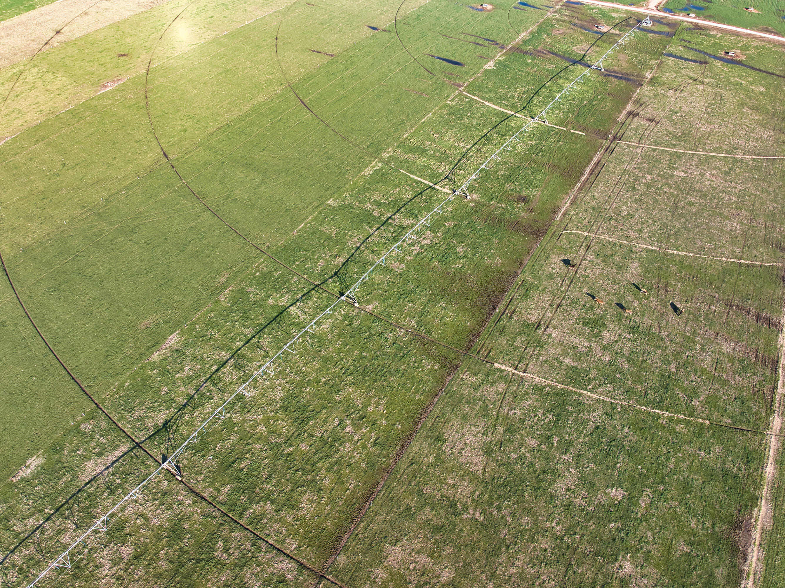 24990 Kentucky Road Granby, MO 64844 - Photo 25 of 61 DJI_20251205145750_0044_D
