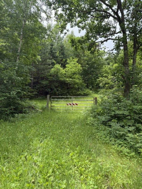 20-acres North 5th Avenue Spooner, WI 54801 - Photo 4 of 12