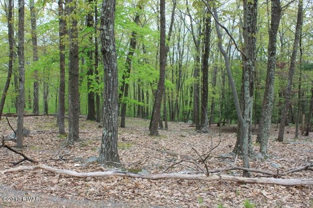 118 Eagle Crest Road Greentown, PA 18426 - Photo 4 of 10