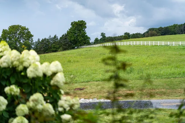 a kitchen with a dining table chairs and white cabinets