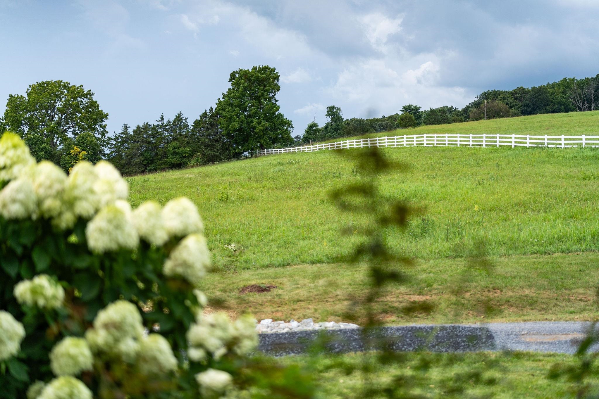3008 Spring Hill Road Staunton, VA 24401 - Photo 21 of 75 Gallery Image 21