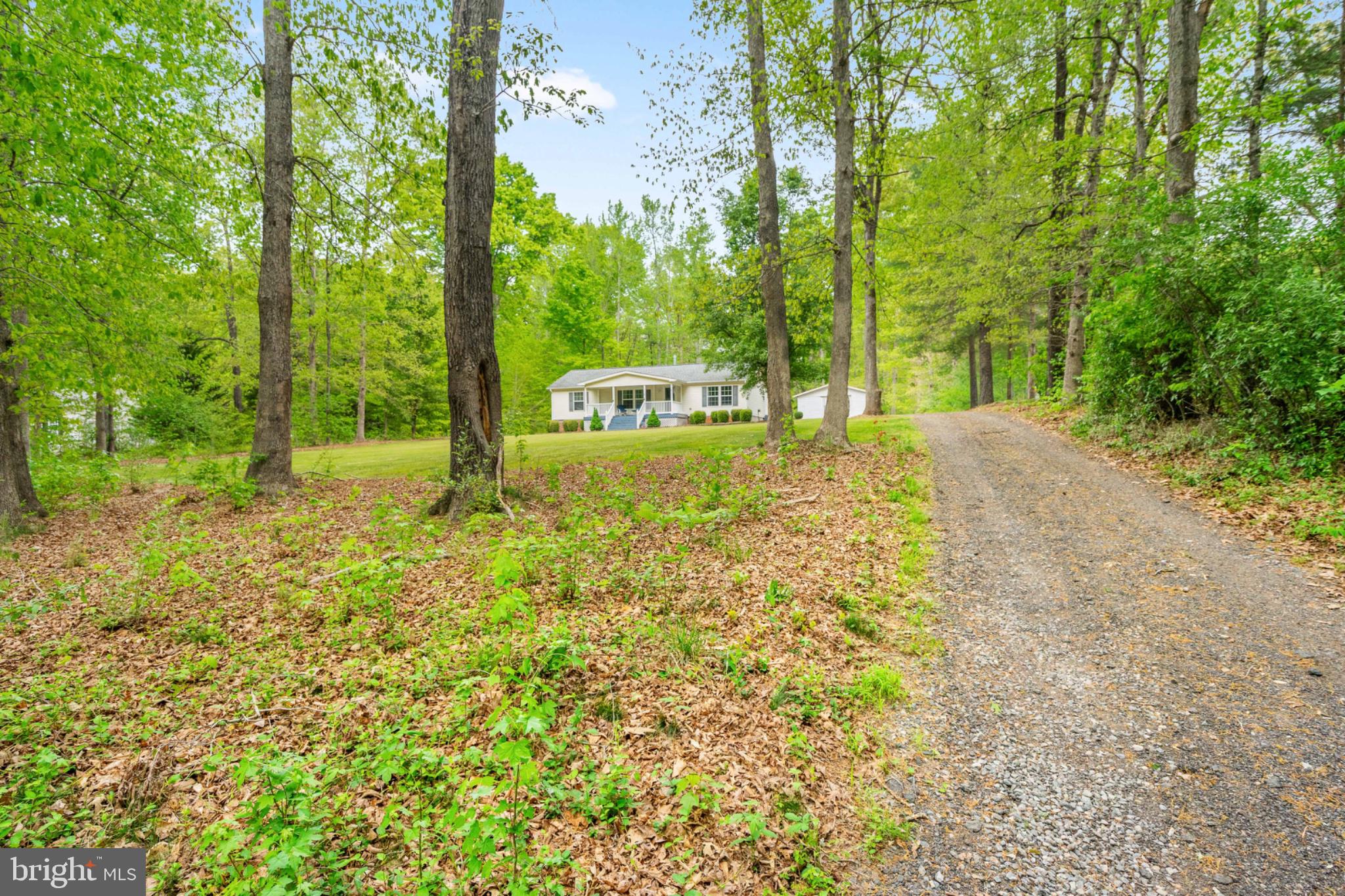 2319 Sizer Road Beaverdam, VA 23015 - Photo 57 of 61 Serene retreat nestled among trees.