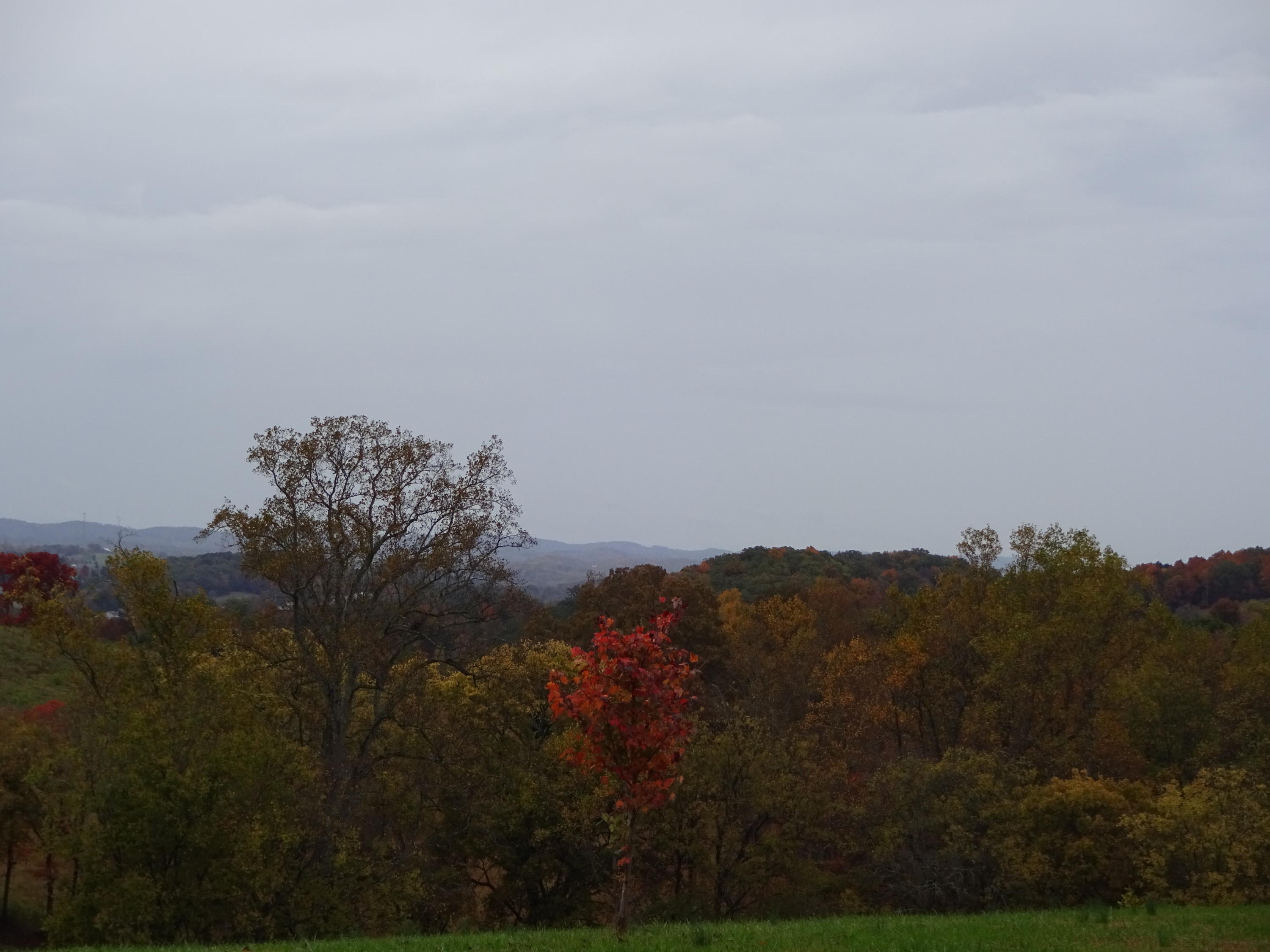 2025 Kings View Loop Seymour, TN 37865 - Photo 2 of 19 DSC03635