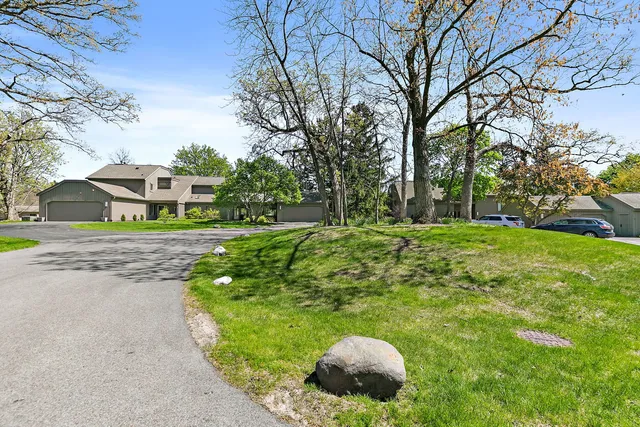 a view of a garden with a tree in the house