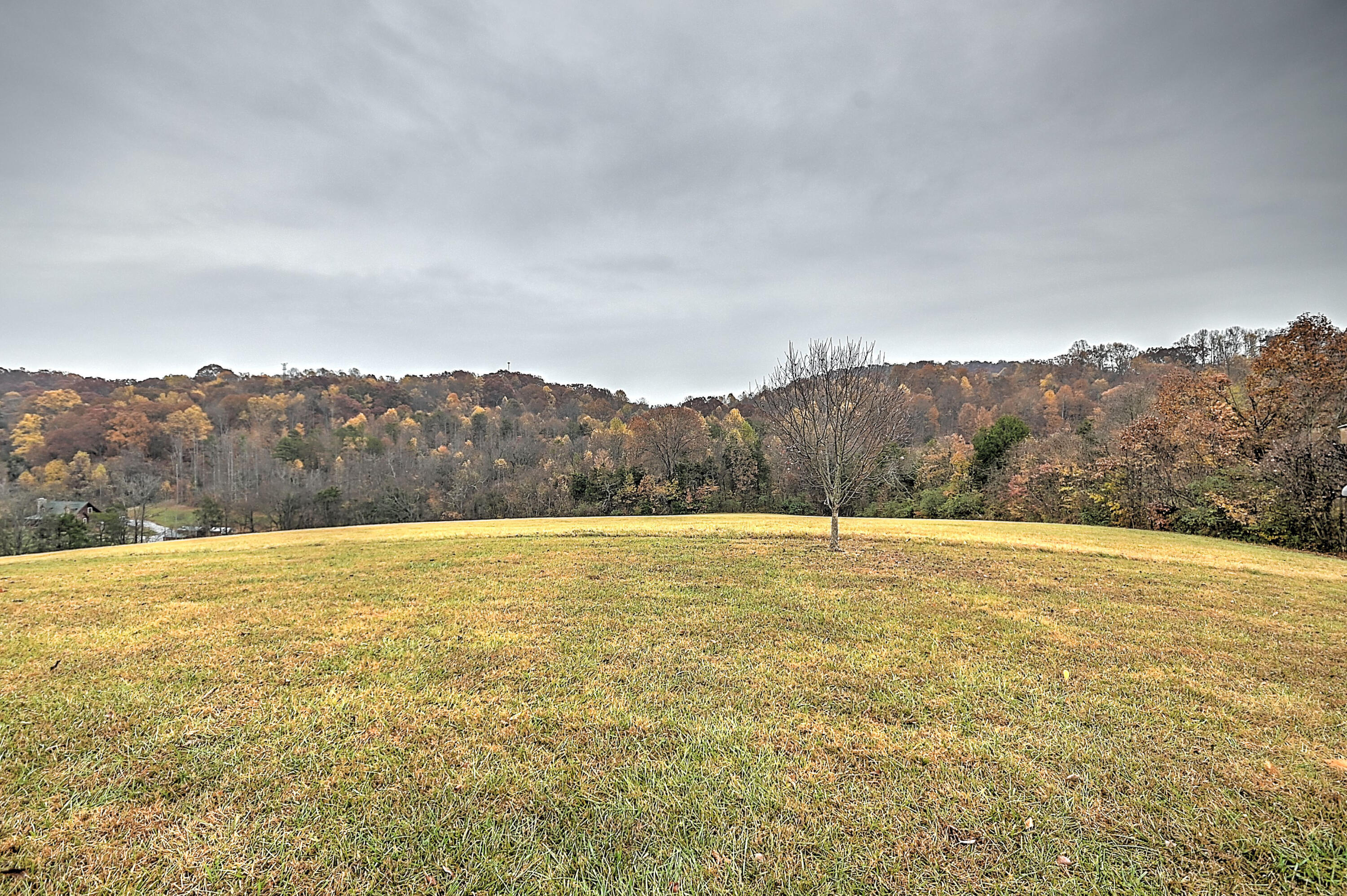 1746 Old Baileyton Road Afton, TN 37616 - Photo 27 of 80 Old Baileyton-10