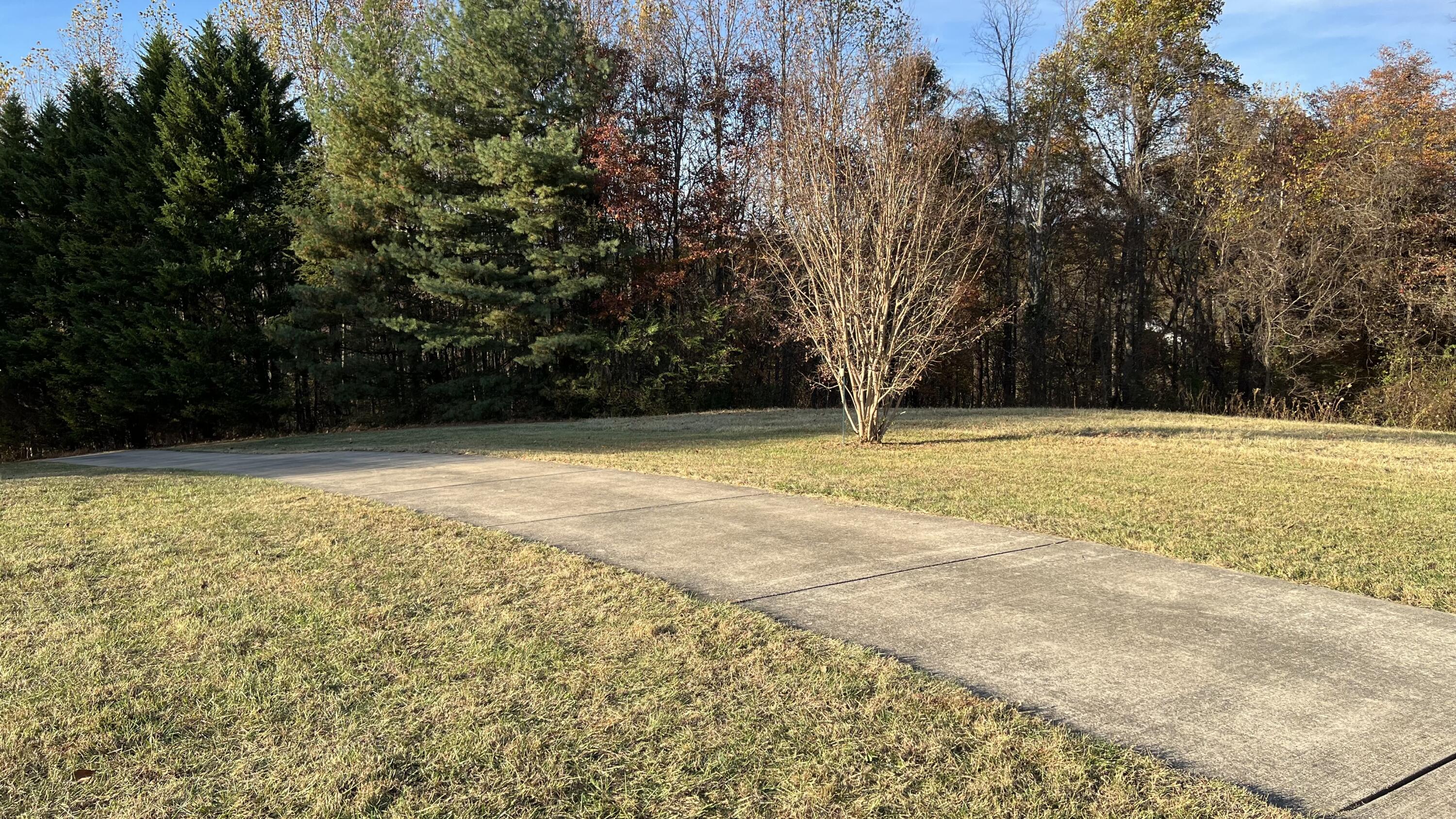 1746 Old Baileyton Road Afton, TN 37616 - Photo 77 of 80 IMG_3627