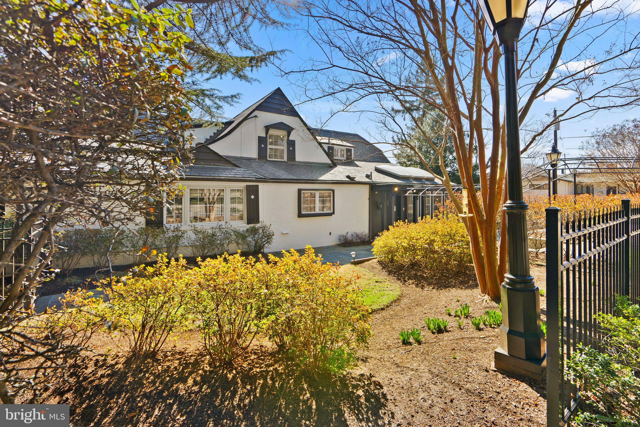 9218 Colesville Road Silver Spring, MD 20910 - Photo 54 of 76 Bulbs are peaking through