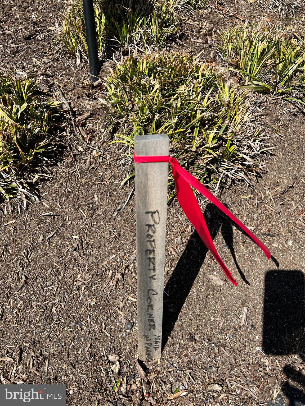 9218 Colesville Road Silver Spring, MD 20910 - Photo 56 of 76 Look for property corners for lot 5 & the parcel