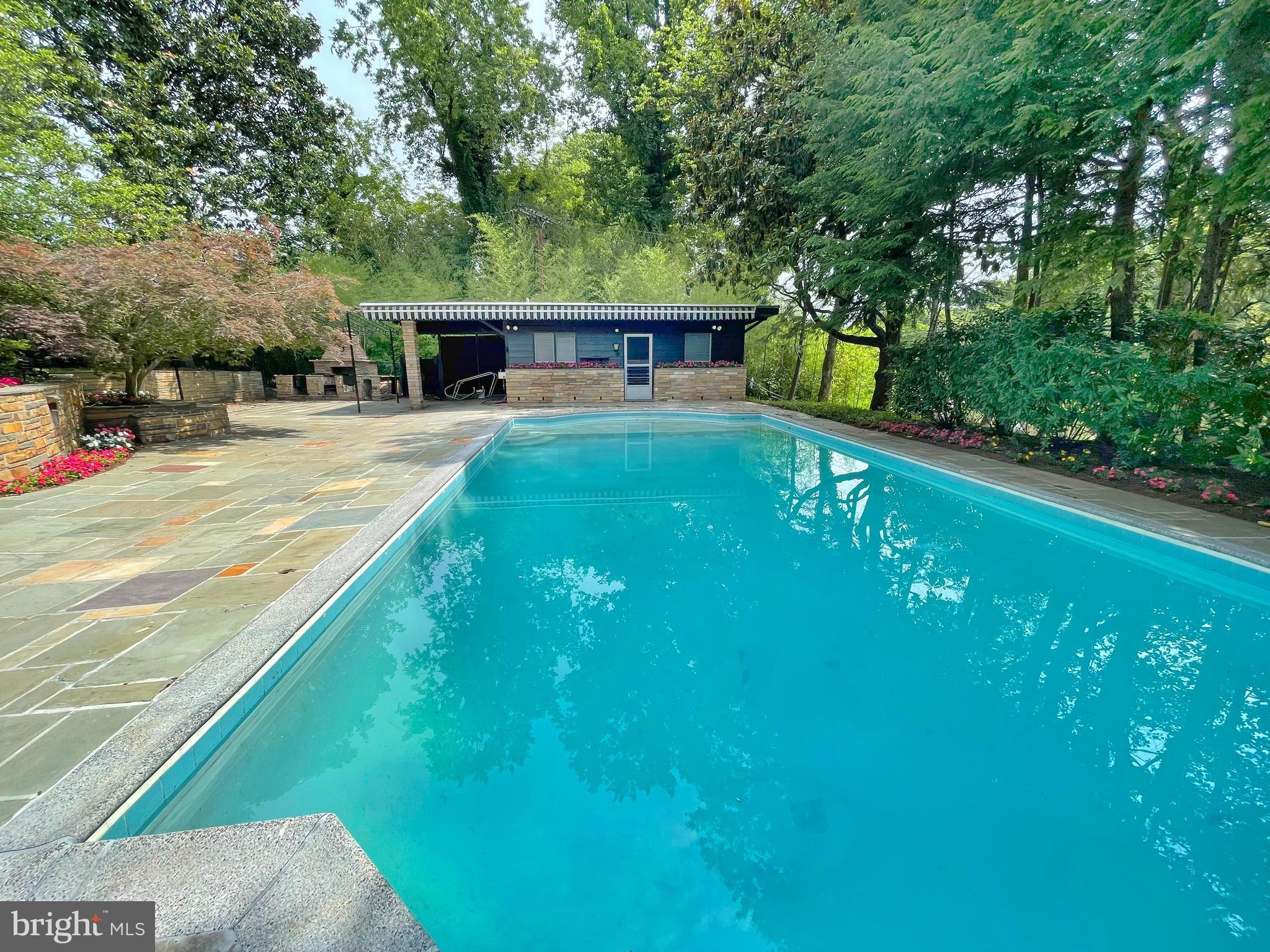 9218 Colesville Road Silver Spring, MD 20910 - Photo 57 of 76 Magnificent concrete pool for Washington summers!
