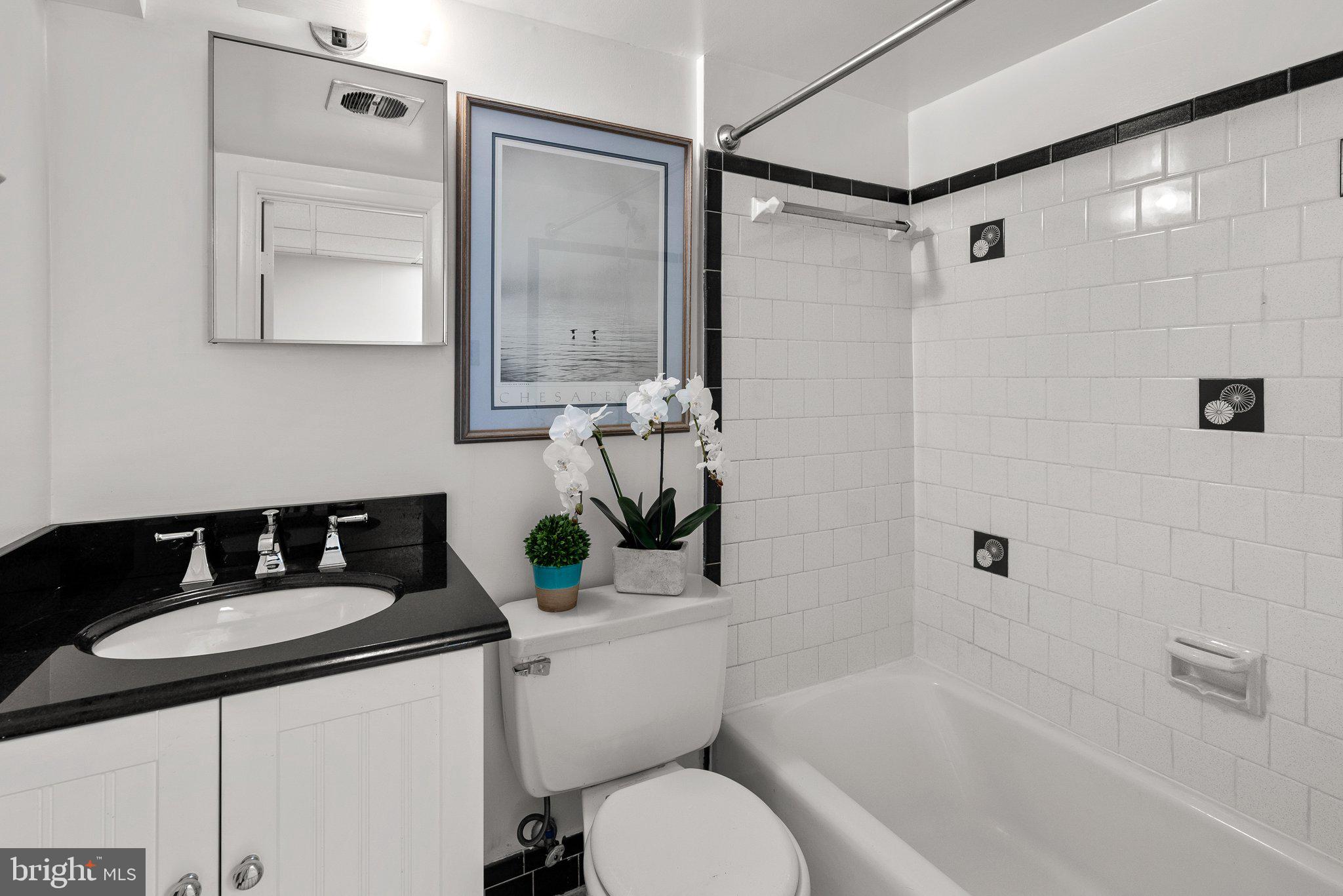 9218 Colesville Road Silver Spring, MD 20910 - Photo 70 of 76 Lower level full bathroom