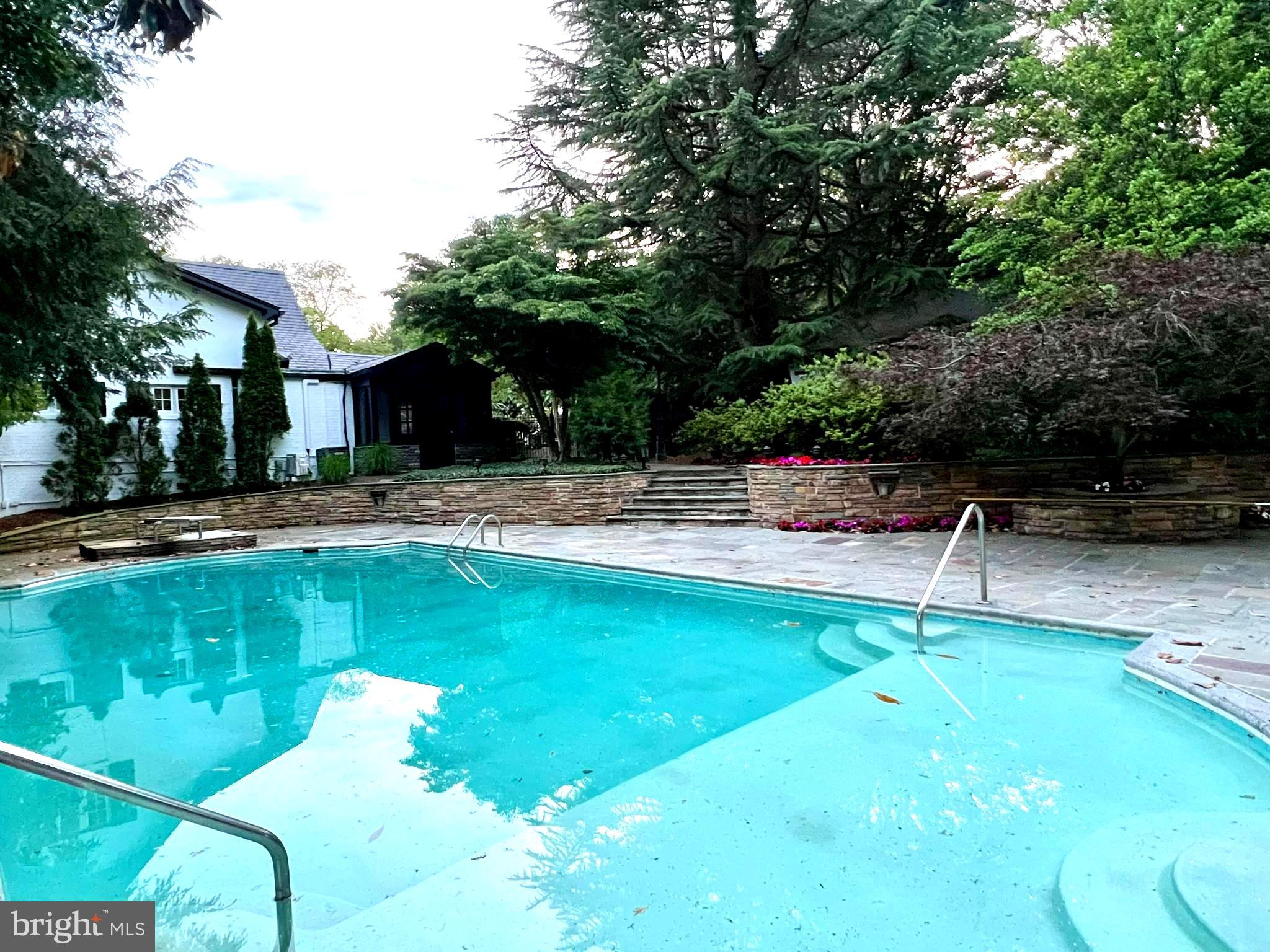 9218 Colesville Road Silver Spring, MD 20910 - Photo 7 of 76 Cool off this summer in this crystal clear pool!