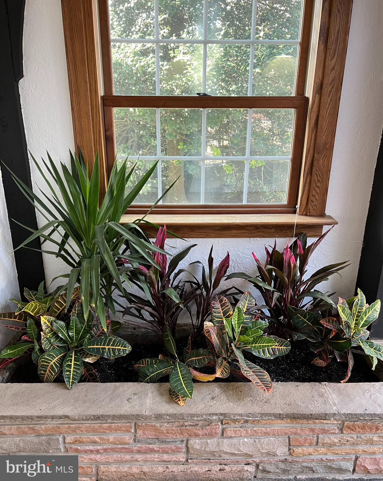 9218 Colesville Road Silver Spring, MD 20910 - Photo 73 of 76 Fabulous indoor planter! Switch up for the seasons