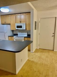 460 Northwest 20th Street, Unit 3030 Boca Raton, FL 33431 - Photo 4 of 14 kitchen2